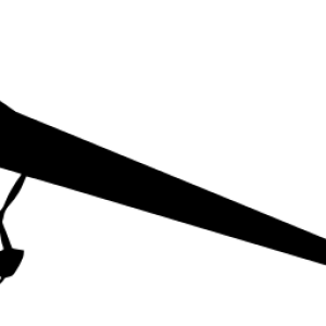 Glider PNG
