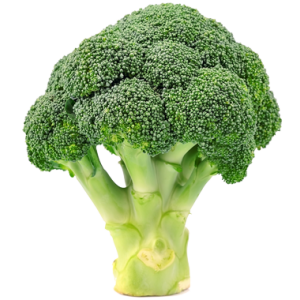 Broccoli PNG