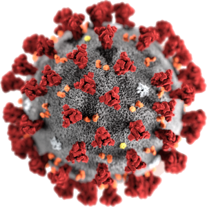 Coronavirus PNG