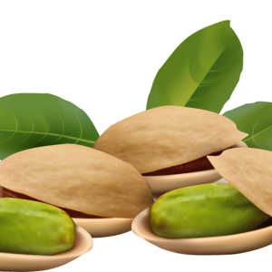 Pistachios PNG