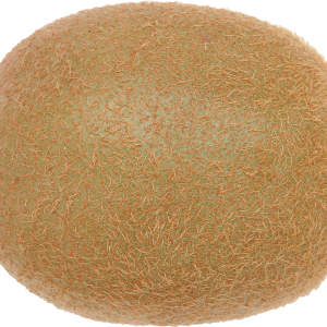 Kiwi PNG image, free fruit kiwi PNG pictures download