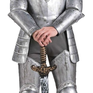 Medieval knight PNG