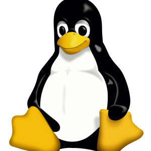 Linux logo PNG