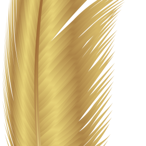 Feather yellow PNG