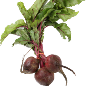 Beet PNG