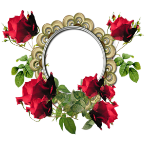 Floral frame PNG