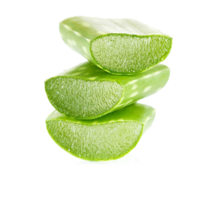 Aloe vera PNG