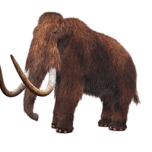 Mammoth PNG