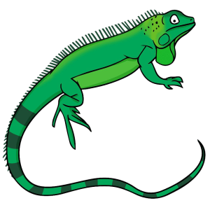 Iguana PNG