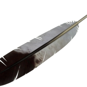 Feather PNG