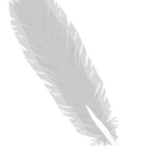 Feather PNG