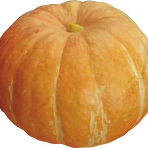 Pumpkin PNG