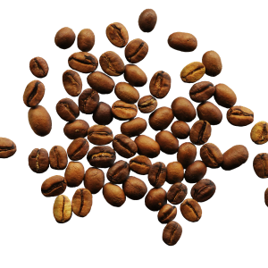 Coffee beans PNG