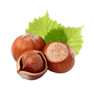 hazelnut PNG