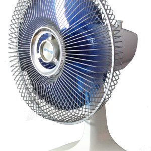 fan PNG