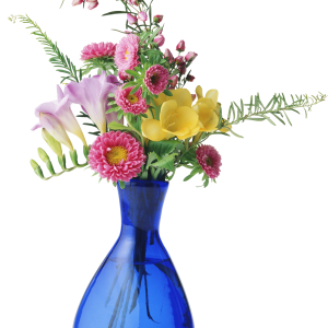 Vase PNG