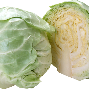 Cabbage PNG image