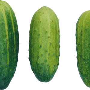Cucumber PNG
