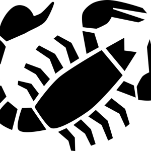Scorpio PNG