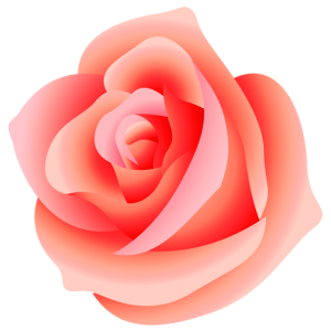 Rose PNG