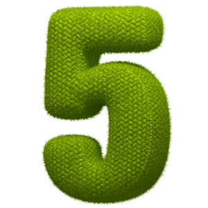 Number 5 PNG