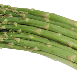 Asparagus PNG