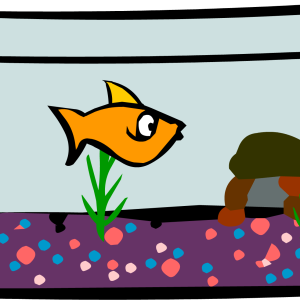 Aquarium PNG