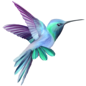 Hummingbird PNG