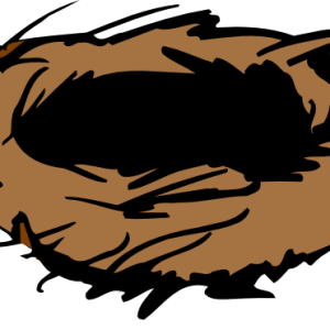 Nest PNG