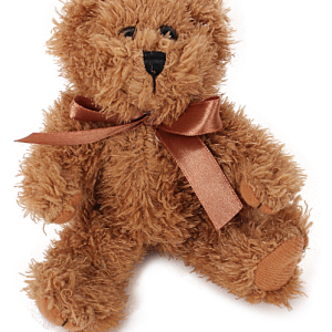 Teddy bear PNG