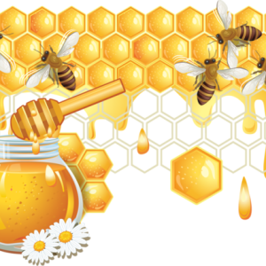 Bee PNG