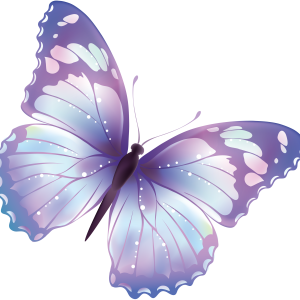 Butterfly PNG