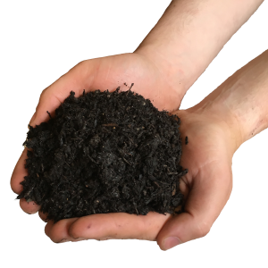 Soil in hands PNG