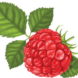 Rraspberry PNG image