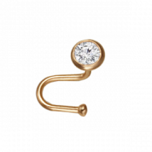 Body piercing PNG