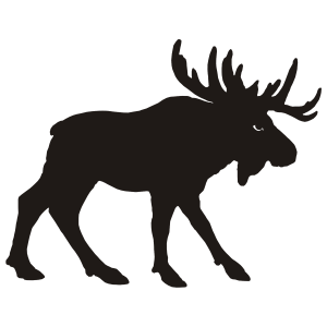 Moose, elk PNG