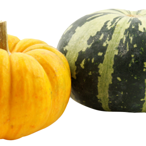 Pumpkin PNG