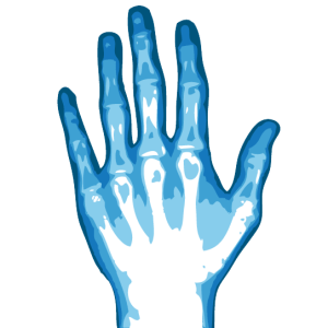 X-rays PNG