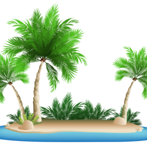 Beach PNG