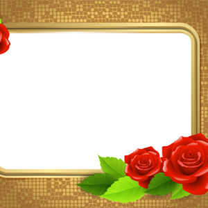 Picture, photo frame PNG