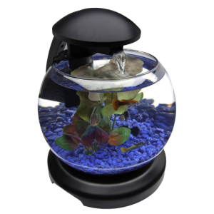 Aquarium PNG