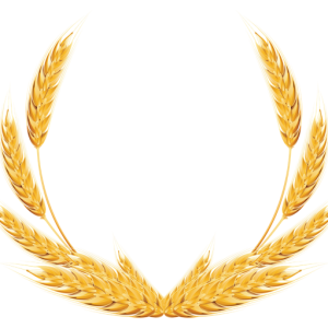 Wheat PNG