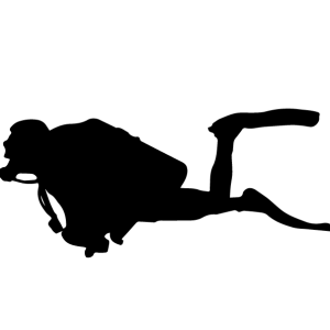 Diver PNG