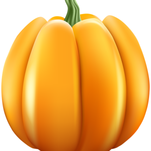 Pumpkin PNG
