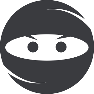 Ninja PNG