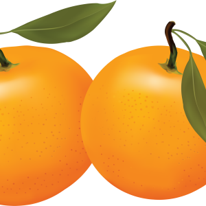 Orange PNG image, free download