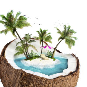 Beach PNG