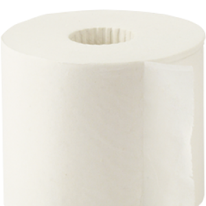 Toilet paper PNG