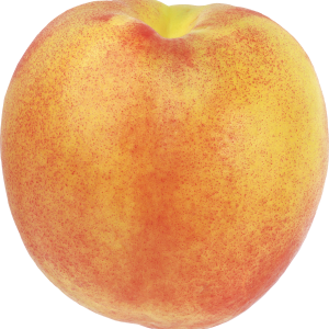 Peach PNG image