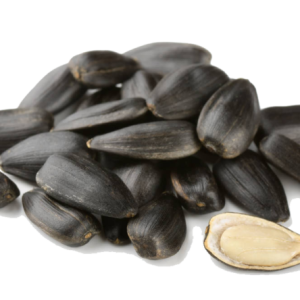 Sunflower seeds PNG
